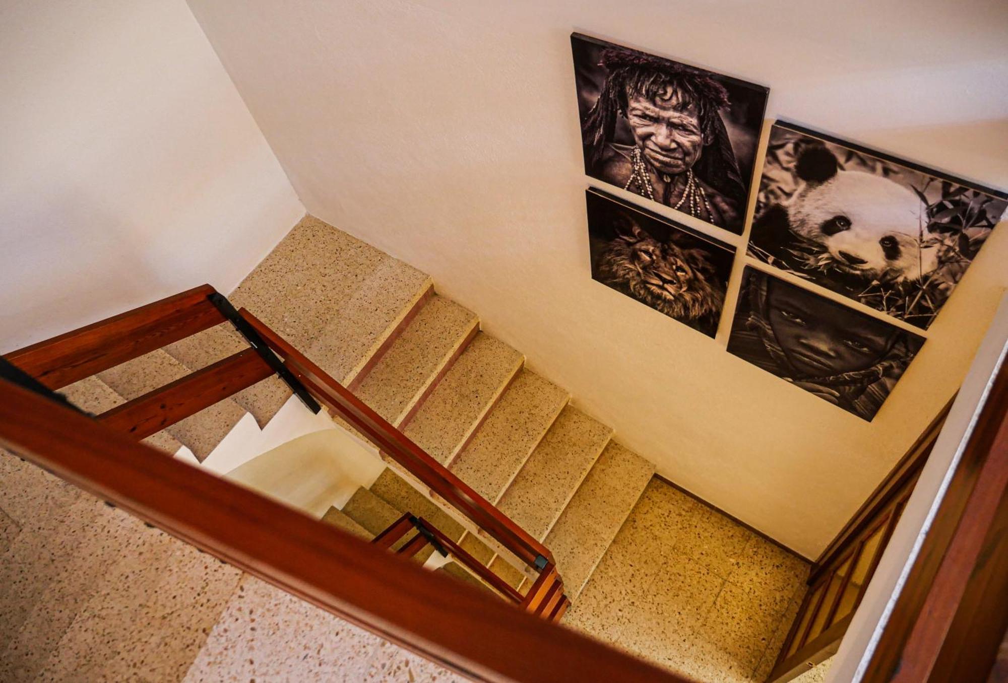 L'Amagatall De Talarn, Casa Per A Compartir Extérieur photo